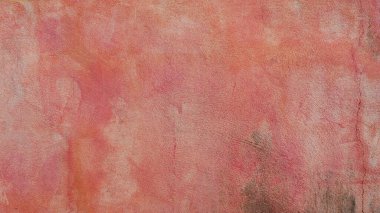 Eski Gül arkaplan duvarı Retro tarzı arkaplan, pastel renk.