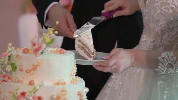 Нарізати шматочок весільного торта. Наречений і наречений з ножем на рецепції . — стокове відео