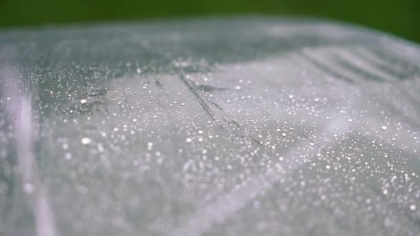 Gotas de lluvia sobre un paraguas transparente. Lluvia, tiempo húmedo. — Vídeos de Stock