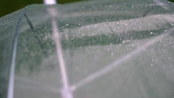 Dešťové kapky na průhledný deštník. Déšť, vlhké počasí. — Stock video