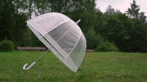 Regentropfen auf einem durchsichtigen Regenschirm. Regen, nasses Wetter. — Stockvideo