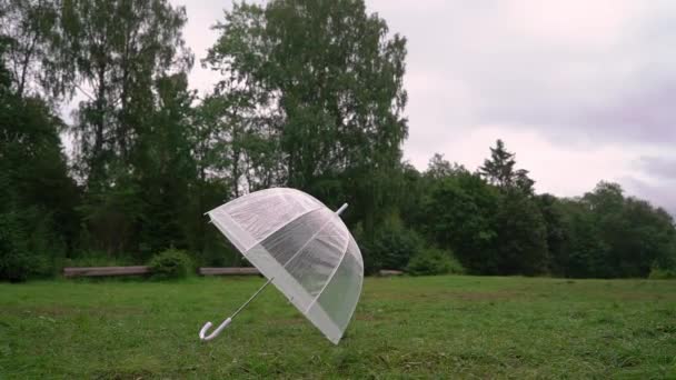 Gotas de lluvia sobre un paraguas transparente. Lluvia, tiempo húmedo. — Vídeos de Stock