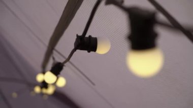 Ampul çelengi. İp ışığı, siyah kablo, LED lambalar.