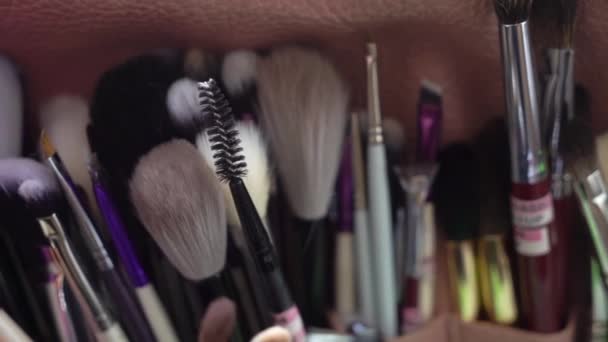 Установка профессиональных кистей макияжа. Художественные инструменты для декоративной косметики — стоковое видео