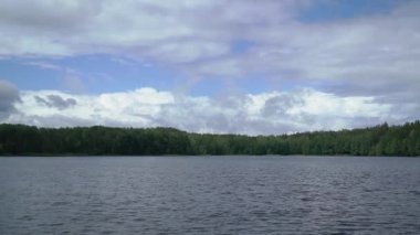 Yazın göl. Su yüzeyi, orman göleti.