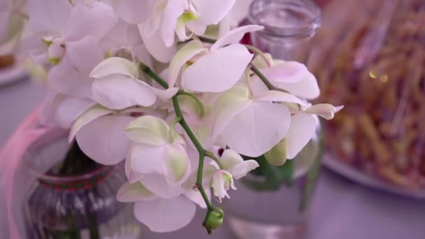 Kytice bílých hortenzií na slavnostním stole. — Stock video