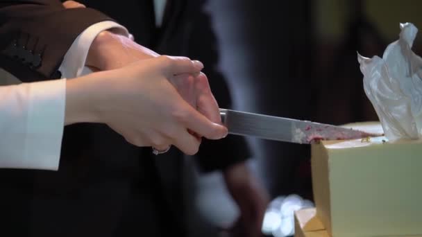 Klipper lätt bröllopstårta. Brud och brudgum med kniv i receptionen. — Stockvideo