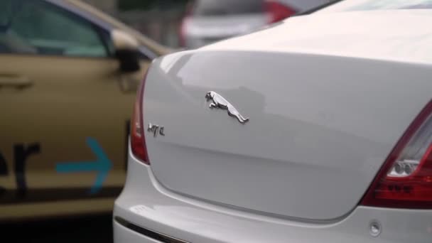White luxury sedan Jaguar XJ long car parked in a city street. — Stok video