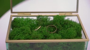 Wedding rings jewelry. Gold rings in glass transparent box with green moss.