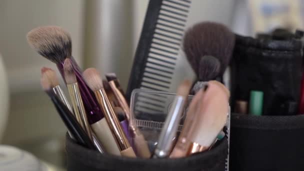 Stel professionele make-up borstels in. Make-up artist tools voor decoratieve cosmetica — Stockvideo