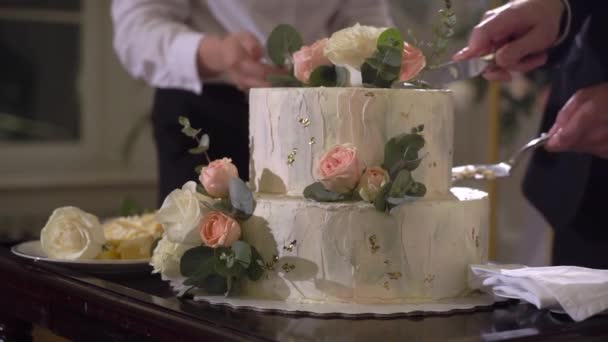 Cortando trozo de pastel de bodas. Novia y novio con cuchillo en recepción. — Vídeos de Stock