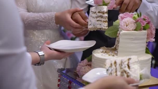 Cutting piece of wedding cake. Bride and groom with knife at reception. — Stock Video