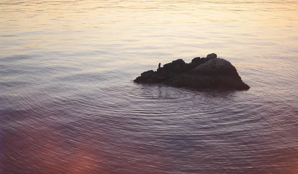 Rocha Que Sobe Isolada Mar — Fotografia de Stock