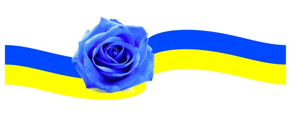 Roze Blauw Ukraine Vlag Mooie Oekraïense Nationale Vlag Van Oekraïne — Stockfoto