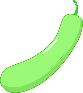 Taze İzole Şişe Kabağı Vektör İllüstrasyonu