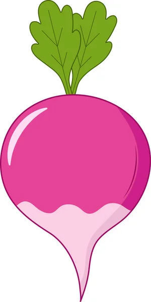 Fresh Isolated Turnip Vector Illustration — Stok Vektör