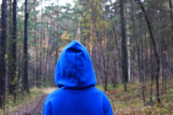 En flicka går ensam när hon går genom skogen en höstdag. Ensamhet och melankoli. En ung flicka i blå tröja med huva går längs en stig bland träden i skogen med sin — Stockfoto