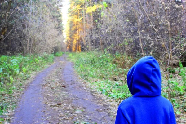 한 소녀는 가을에 혼자 숲 속을 걷고 있다. 외로움 과 우울 함. 파란 스웨터를 입고 후드를 쓴 한 소녀 가 숲 속의 나무들 사이를 걷고 있습니다 — 스톡 사진