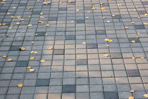 Betão ou paralelepípedos de pavimento quadrado cinza ou pedras para chão, parede ou caminho. Cerca tradicional, quadra, quintal ou pavimentação rodoviária. — Fotografia de Stock