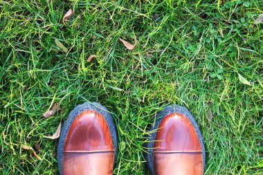 Kadın ya da erkek bacakları ayakkabılar içinde çimlerin üzerinde dikiliyor. yeşil yemyeşil çimenler var. Patent parmağı ve siyah tabanlı kahverengi deri çizmeler. metin için boşluk var