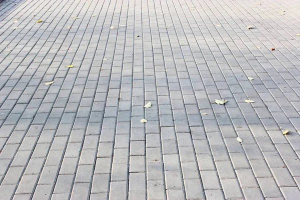 Betão ou paralelepípedos de pavimento quadrado cinza ou pedras para chão, parede ou caminho. Cerca tradicional, quadra, quintal ou pavimentação rodoviária. — Fotografia de Stock