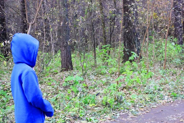 Een meisje loopt alleen door het bos op een herfstdag. Eenzaamheid en melancholie. Een jong meisje in een blauwe trui met een capuchon loopt met haar langs een pad tussen de bomen in het bos — Stockfoto