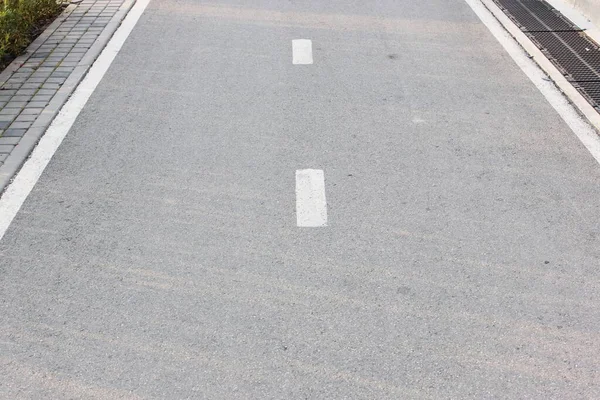 Fietsbord op asfalt Fietspad in de ochtend in de stad in de zomer met iepen Richting van de beweging van de fiets Fietspad richting bord geschilderd op de rijbaan in de stad straat van — Stockfoto