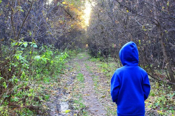 A girl walks alone while walking through the forest on an autumn day. Loneliness and melancholy. A young girl in a blue sweater with a hood walks along a path among the trees in the forest with her — Stock Photo, Image