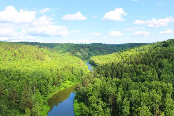 Ağaçların yaprakları arasında dağ manzarası. Zirvenin tepesinden nefes kesici panoramik manzara. Dağ manzarası. Dağlarda gümüş devedikeni. Dağlarda zirve. Atmosferik dağ