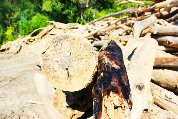 나무로 된 통나무 조각의 목재 조각 질감. 손으로 만든 천연 제분기를 노려 보라. 화창 한 날에는 오래 된 통나무 조각들 이 옆으로 놓여 진다. 그곳에는 오래 된 죽은 숲 이 많이 있습니다 — 스톡 사진