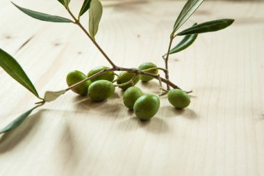 Ahşap masa arka planında zeytin dalı, konsept ve yemek pişirme fikri hala kırsal. Yayın için yapraklı yeşil zeytinler, poster, ekran koruyucu, duvar kağıdı, kartpostal, afiş, kapak, post. Yüksek kaliteli fotoğrafçılık
