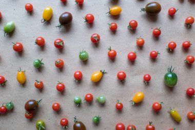 Colorful cherry tomatoes are scattered on the table, upper view. Still life of cherry tomatoes for publication, poster, screensaver, wallpaper, postcard, banner, cover, post. Healthy diet