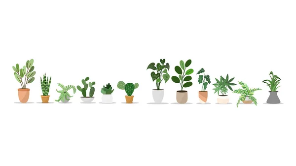 Kasvit Istutetaan Sisätiloissa Ruukkuihin Koristella Talon Vektori Eristetty Valkoisella Taustalla — vektorikuva