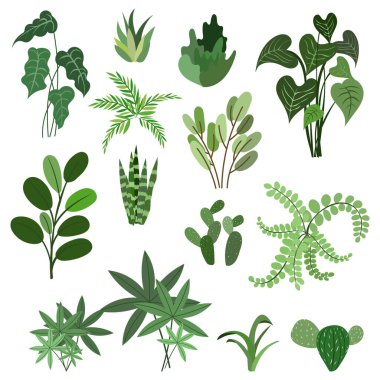 Kapalı mekandaki bitkiler ev vektörü, beyaz arka planda izole, düz çizgi film tarzı. Resim Vektörü EPS 10