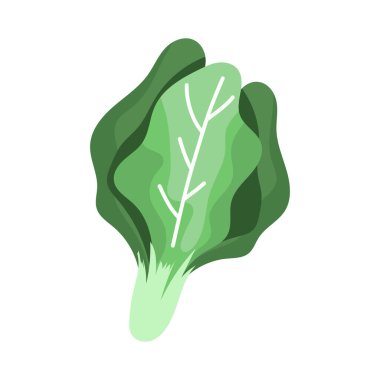 Beyaz arkaplanda yeşil hardal yeşili izole edilmiş, Vektör illüstrasyon EPS 10