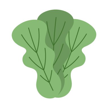 Beyaz arkaplanda yeşil lahana vektörü izole edildi, Vektör illüstrasyon EPS 10