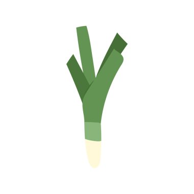 Beyaz arkaplanda yeşil soğan izole edildi, Vektör illüstrasyon EPS 10