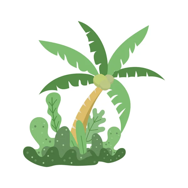 Cocos Plantas Marinas Junto Playa Verano Aislado Sobre Fondo Blanco — Vector de stock