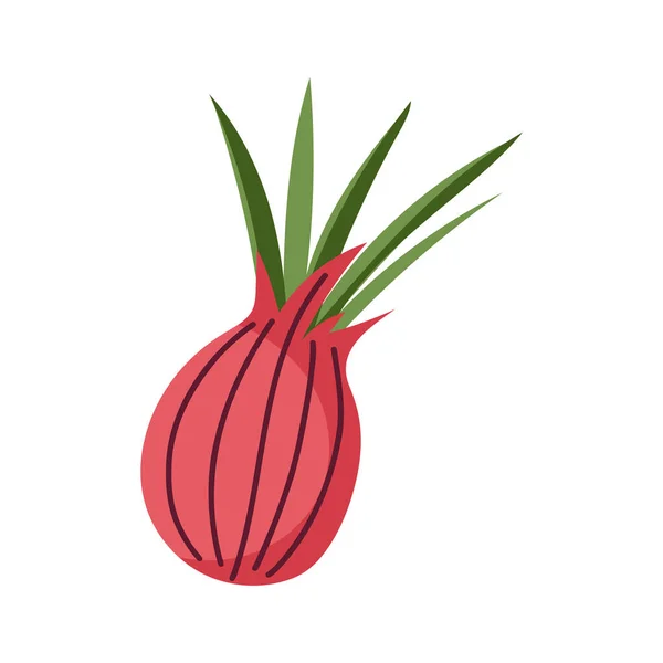 Рожеві Овочі Буряк Ізольовані Білому Тлі Векторні Ілюстрації Eps — стоковий вектор