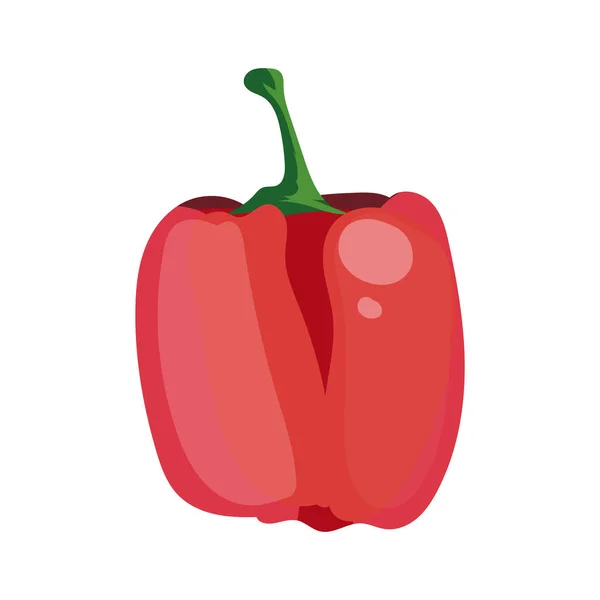Pimienta Roja Verdura Aislado Sobre Fondo Blanco Vector Ilustración Eps — Vector de stock