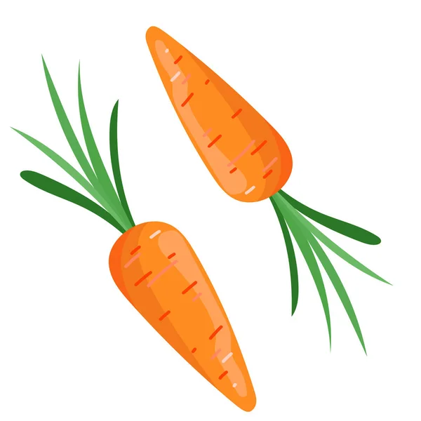 Wortel Oranye Sayuran Yang Diisolasi Pada Latar Belakang Putih Vektor - Stok Vektor