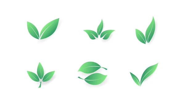 Set Leaf Icon Vector Isolated White Background Vector Illustration Eps — Vettoriale Stock