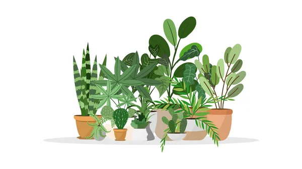 Air Purifying Plants Decorate House Many Varieties Vector Isolated White — ストックベクタ