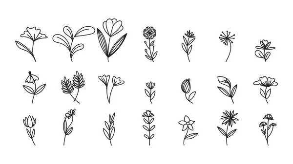 Ställ Linje Ritning Minimalistiska Blommor Isolerad Vit Bakgrund Vektor Illustration — Stock vektor