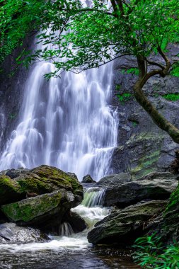 Manzara fotoğrafları Khlong Lan Şelalesi, Tayland 'ın Khlong Lan Milli Parkı' ndaki güzel şelale..
