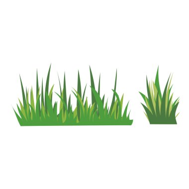 Yeşil çimen güzel vektör, beyaz arkaplan üzerinde izole, Vektör illüstrasyon EPS 10