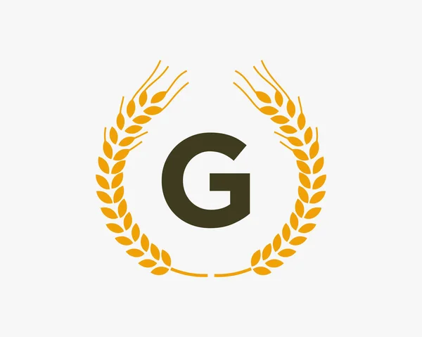 Harfinde Tarım Buğday Logosu Var Harfi Tarım Logosu Şablonu Gıda — Stok Vektör