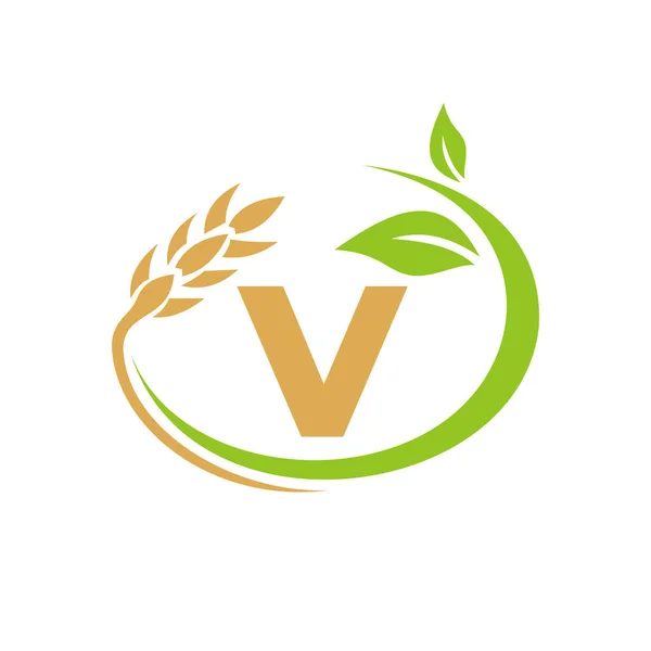 Логотип Сельского Хозяйства Букве Дизайн Логотипа Сельского Хозяйства Сельского Хозяйства — стоковый вектор