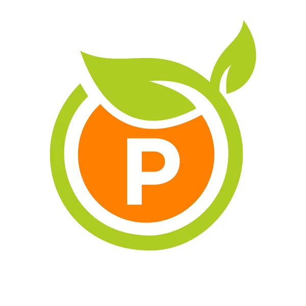 Eco Logo Design Letter Vector Eco Leaf Logo Icon Design — 스톡 벡터