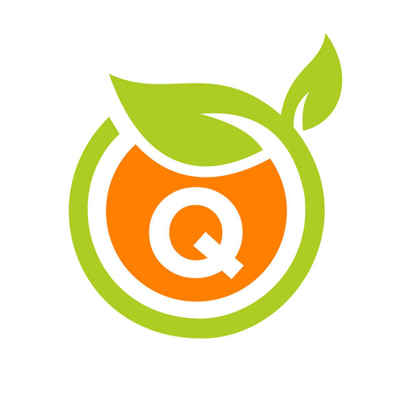 Eco Logo Design Letter Q Vector. Eco Leaf Logo Icon Design Template On Q Letter Concept — Stock Illustration Eco Logo Design Letter Vector Eco Leaf Logo Icon Design — Stock Vector